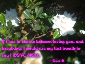 ... you and breathing i would use my last breath to say i love you dani b