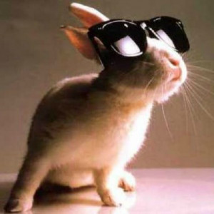 Videos, Entertainment, Fashion, Music, and Celebrity News for Teens ...