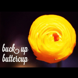 Buck Up Buttercup