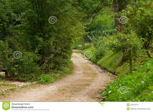 Beautiful Country Road That...