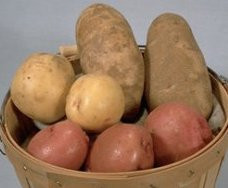 potato origin