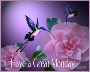 Have a great Monday