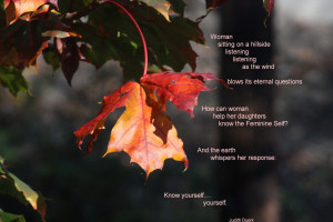 Photo is mine. Words are from 'I Sit Listening to the Wind' by Judith ...