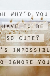 Found on symphony.ae