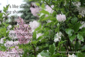 Quote - spiders.