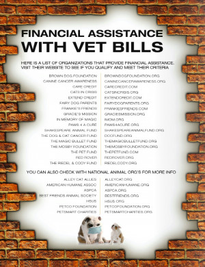 Financial Assistance with Vet Bills