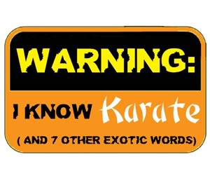 Karate Quotes Funny