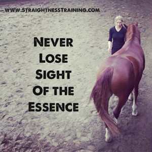 It is not enough to be busy doing exercises with your horse. If you ...