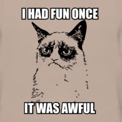 19 89 Buy Grumpy Cat I Had Fun Once It was Awful T Shirt 19 89 Buy