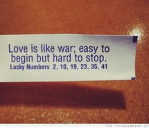 begin, fortune cookie, love, quote, quotes, stop, war