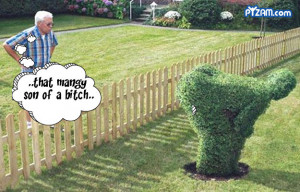 Snappy Comebacks to Stupid Insults