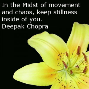 ... of movement and chaos, keep stillness inside of you.