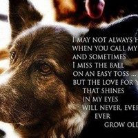 Chocolate is my first choice.:)