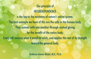 ... the Best Example of the Principle of Interdependence? [Quote Poster