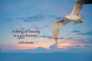 Sometimes a moment gives you the pleasure of a lifetime,