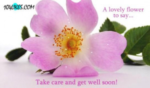 lovely flower to say take care and get well soon get well soon quote