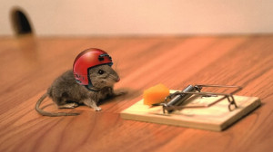 Funny Mouse | 1366 x 768 | Download | Close