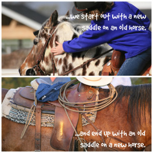 Pinnable Horse Quotes and Sayings