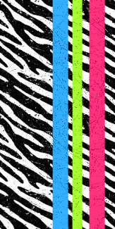 zebra colors Image