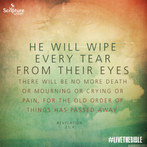 Day 40Read the Bible: Revelation 21:1,3–5aThen I saw ‘a new heaven ...