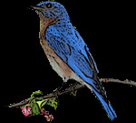 EABL. From a photo by Leah Solliday