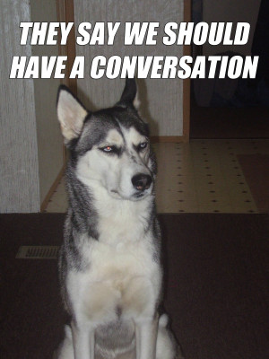Sarcastic Dog and Tards conversation random