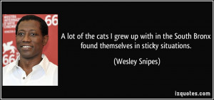 ... the South Bronx found themselves in sticky situations. - Wesley Snipes