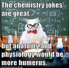 Anatomy and Physiology Jokes | The chemistry jokes are great, but ...