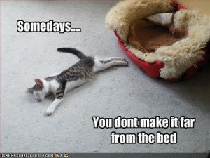 Somedays. . . You don't make it far from the bed.