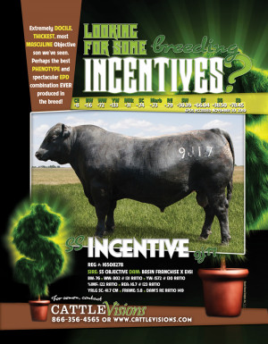 Recent Ads for Cattle Visions