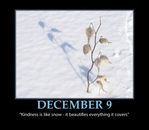 SNOW-BEAUTIFUL quote-DECEMBER-9-ADVENT-CALENDAR