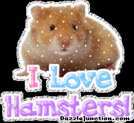 Animal Lovers I Love Hamsters quote
