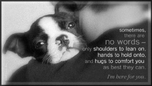 Simple Dog Quotes - Bing Images