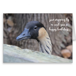 Funny Duck Birthday Card Hope Your Day Ducky