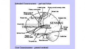 Antonio Damasio has suggested an intriguing model for how our minds ...