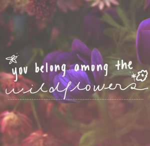 You belong among the wildflowers :]
