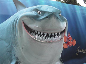 Nemo Shark Quotes...