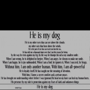 definitely true for my Henry Dog