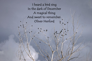 Heard A Bird Sing In The Dark Of December A Magical Thing And Sweet ...