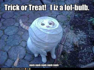 Trick or Treat! - Lolcats \'n\' Funny Pictures of Cats - I Can Has ...