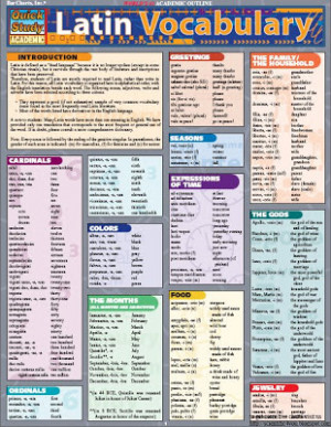 Download English Millenium