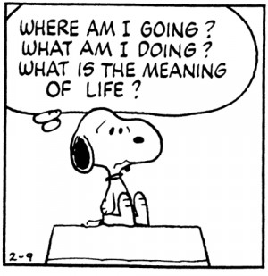 Peanuts Quotes About Life http://thecuriousbrain.com/?p=31492