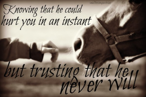 Horse Quotes About Trust (2)