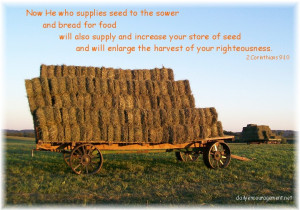 Our Amish neighbor had these wagons loaded ready for transport to the ...