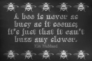 DGD – Digital Goodie Day – Busy Bee Quote