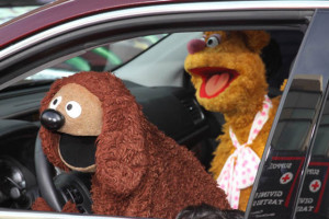 Rowlf and Fozzie Bear Muppets Most Wanted premiere picture - Photo ...