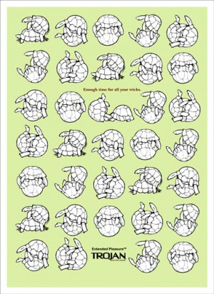 Condom Sayings Pictures