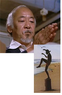 When The Karate Kid Gets Mad – Teaching User Review Crane Technique ...