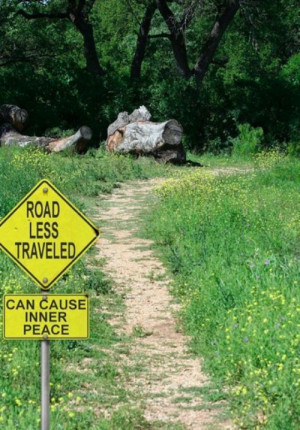 Road Less Traveled... You won't know if you don't try! www ...