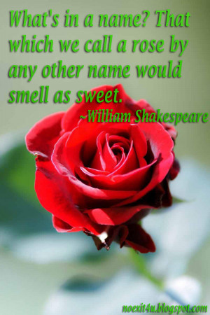 Good Morning Rose Quotes Rose quotes wallpaper